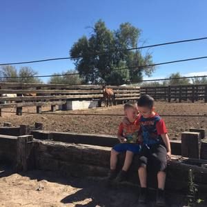 Meet your Posher, Aldo